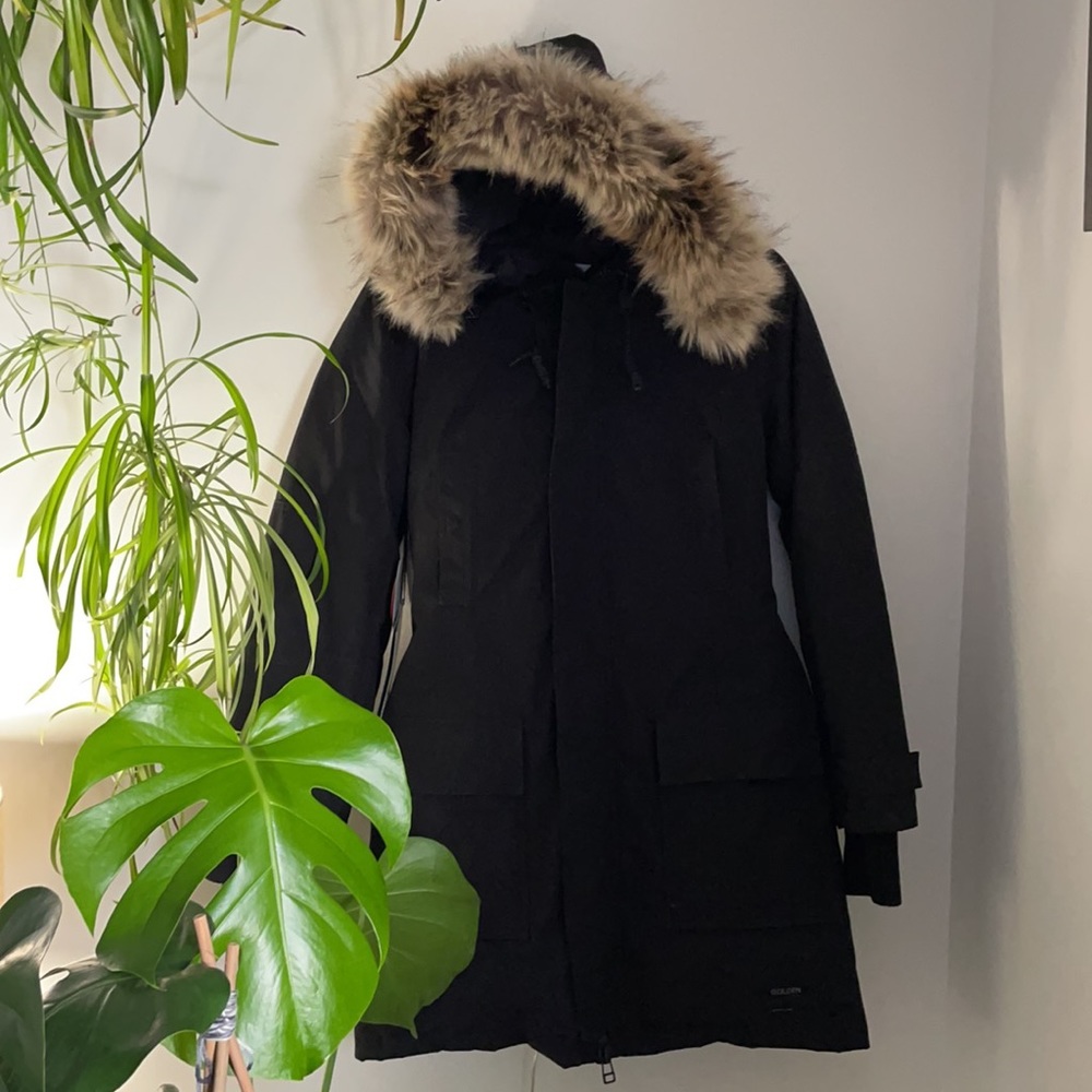 Aritzia Bancroft Parka